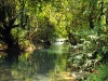 Citumang Waterfall - West Java