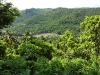 Lembah Putri - West Java