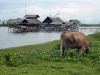 Karang Tirta in West Java