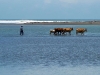 Karang Tirta in West Java